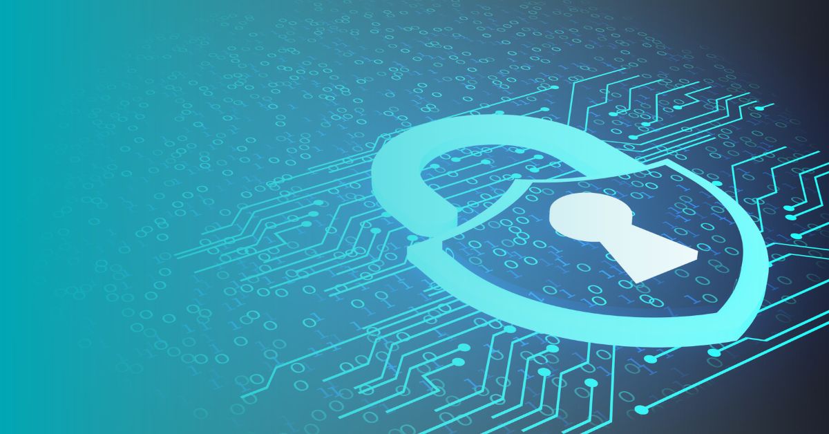 BigID Data Protection Framework