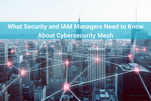 What security and IAM professionals need to know about cybersecurity mesh