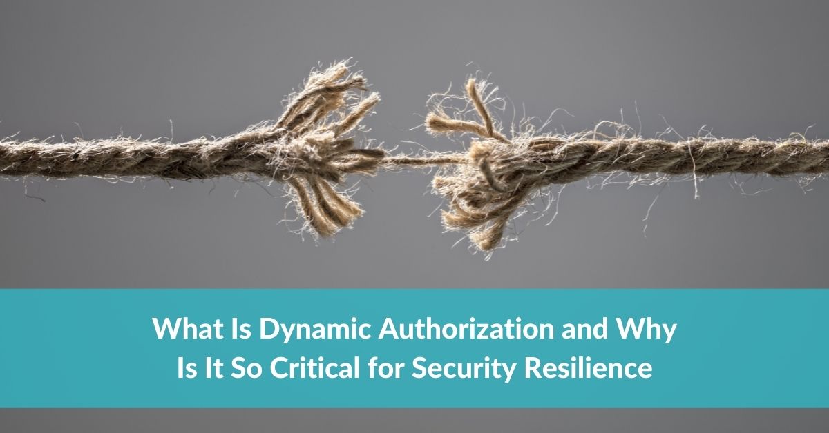 What Is Dynamic Authorization